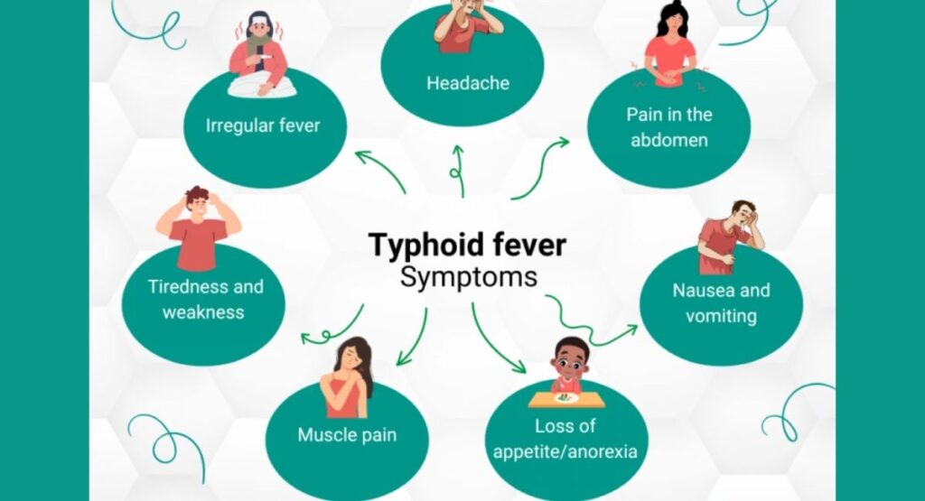 What are the typhoid fever precautions in children ?